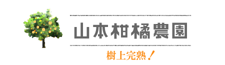 �ÉĎ����n�̌��̎R�{���k�_��